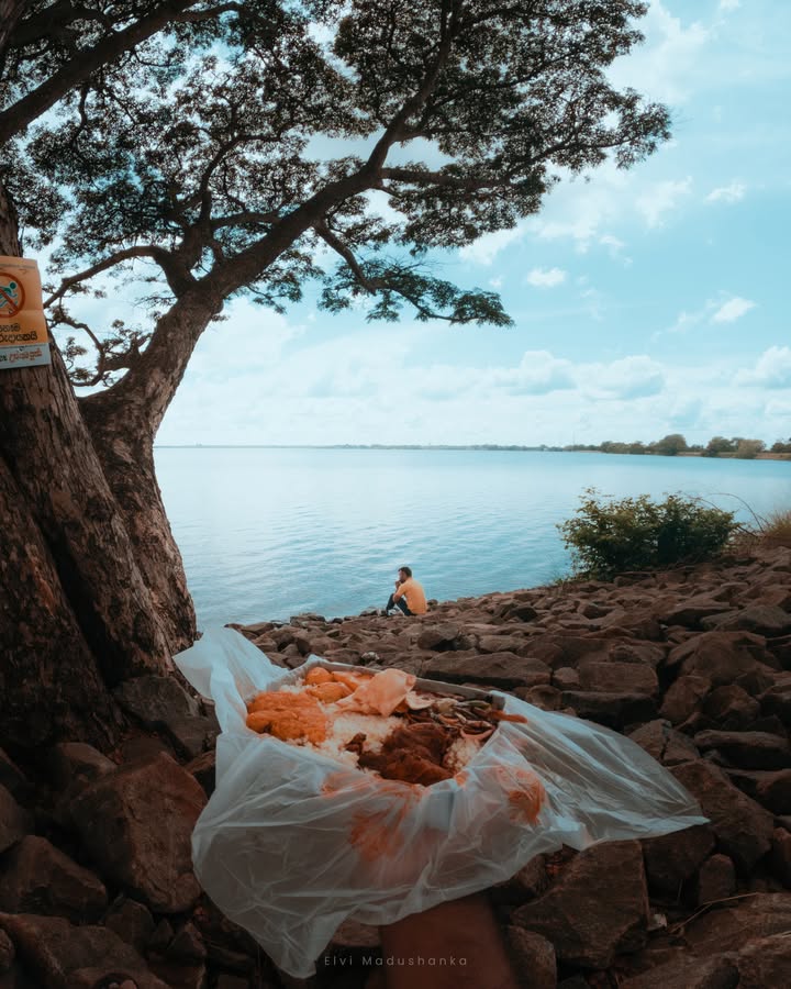 2025දී හිතෙන හිතෙන හැමතැනම ඇවිදින්න හැමෝටම පුළුවන් වේවා! සුබ නව වසරක් වේවා 😍😘💚