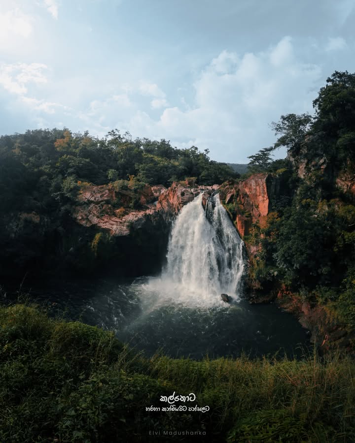 දුවිලි ඇල්ල කල්තොට