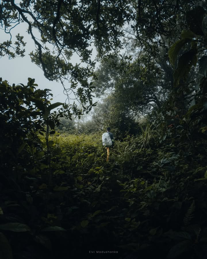 පුජාගල පැත්තට යන ගමන්