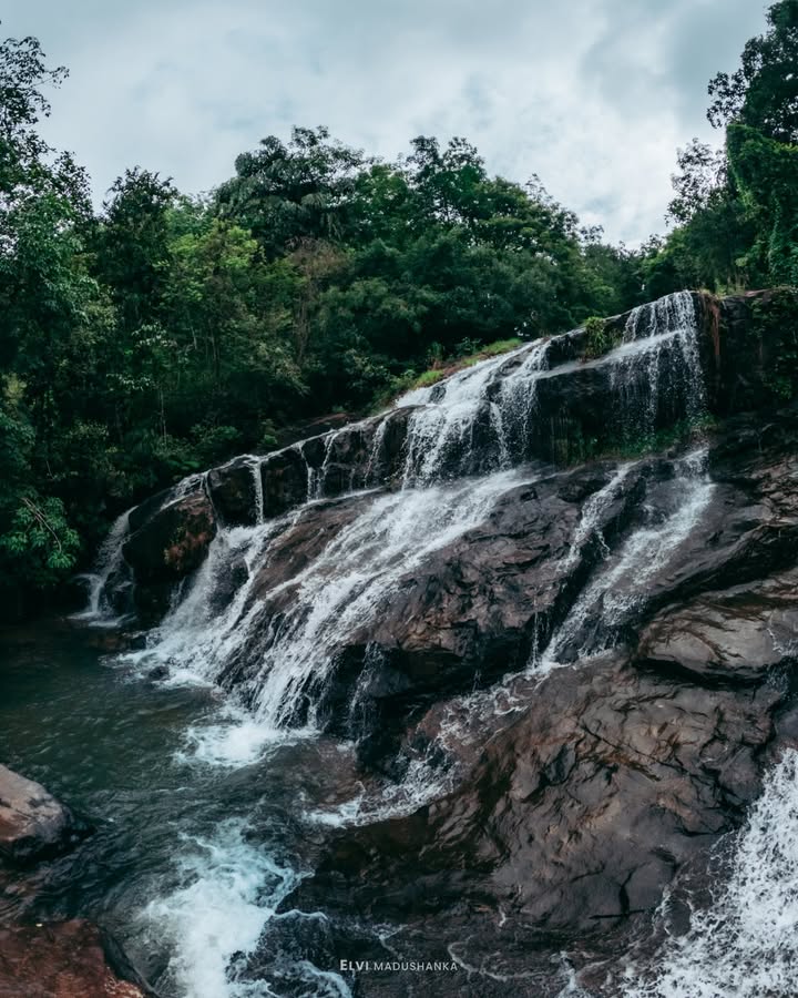 පහල කොටස