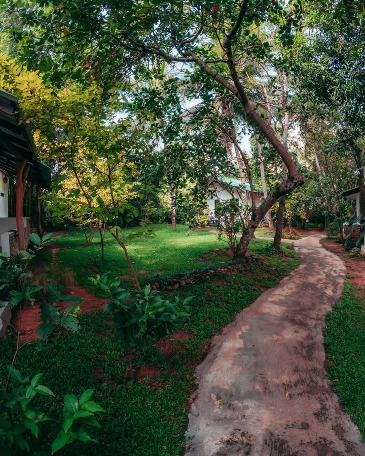 Anuradapura | අනුරාධපුරය