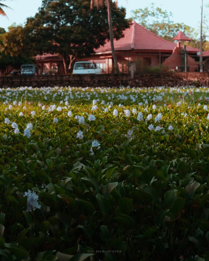 Anuradapura | අනුරාධපුරය