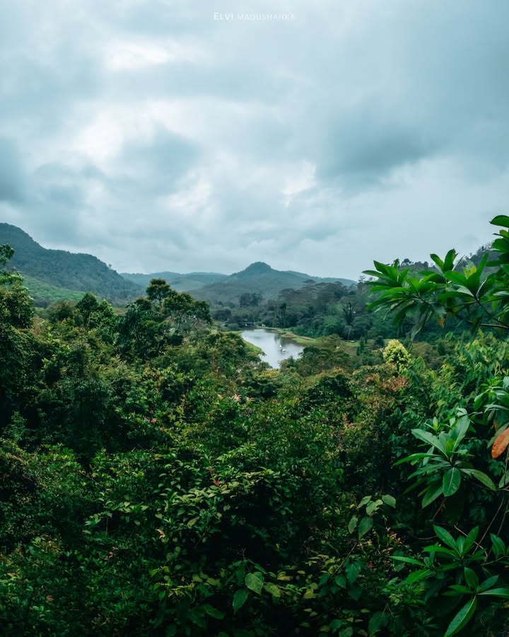 අවිස්සාවේල්ල බෝට්නිකල් ගාර්ඩන් එක