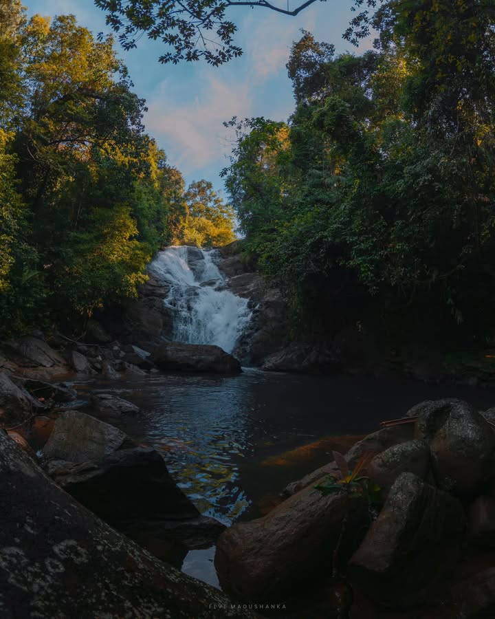 මියුනු ඇල්ලේ පහල