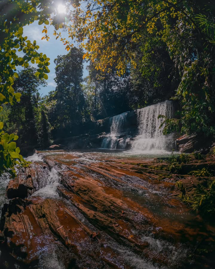 Minee Ella කැලේ ඇතුලේ ඉදන්