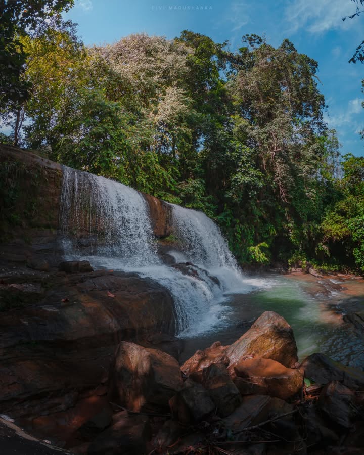 Minee Ellaට යද්දී
