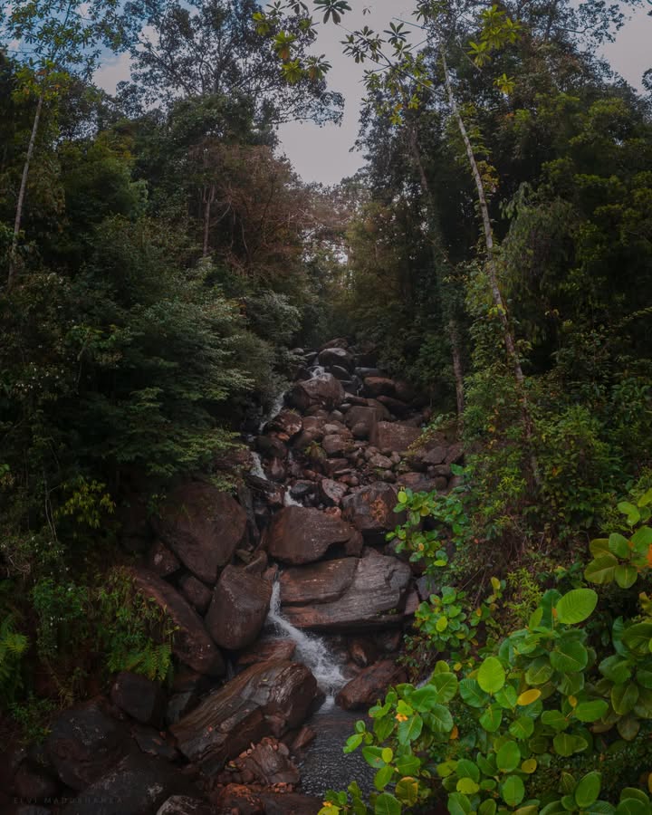 කුකුලේගමට යද්දී හම්බෙන තවත් ඇලි