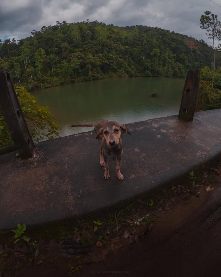 කුකුලේගමදී හම්බුනා තවත් යාළුවෙක්