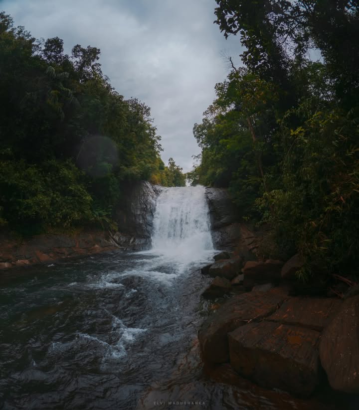 මාකෙලි ඇල්ල