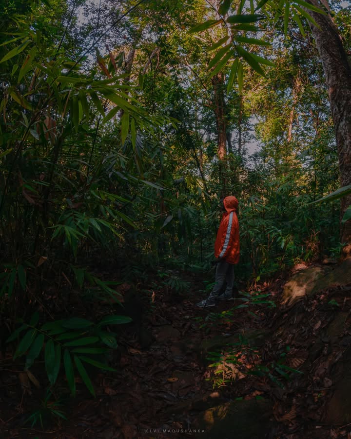 මියුනු ඇල්ලේ පහලට යන ගමන් මම