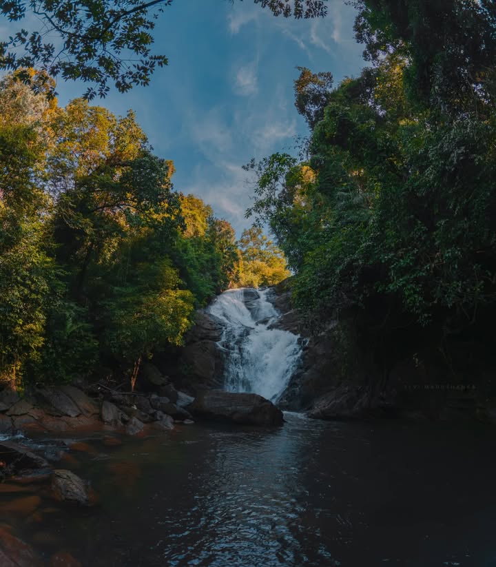 මියුනු ඇල්ල පහල ඉදන් තවත් ලගට ගහින්
