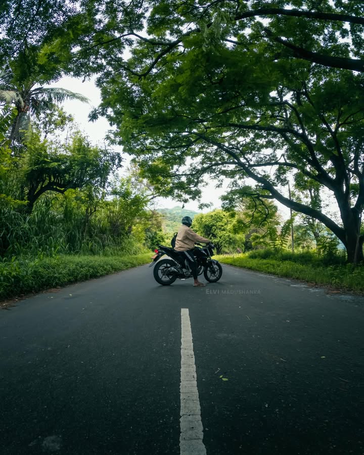 මහියංගනය පාර දිගේ