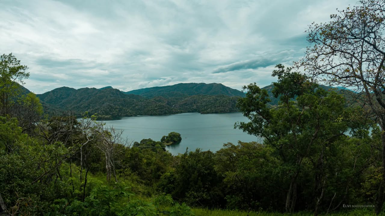 මහවැලි ගග