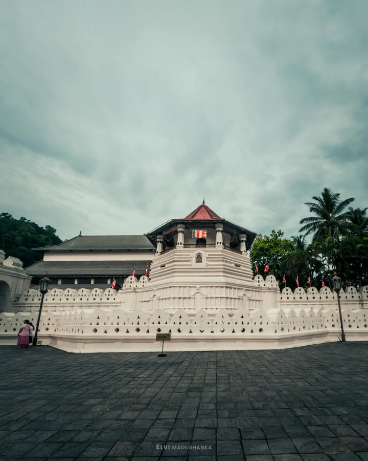 මාලිගාවේ