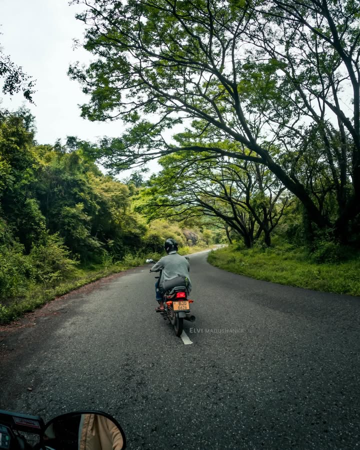 රන්ටැබේ කැලේ මැද්දෙන් වික්ටෝරියා ජලාශයට