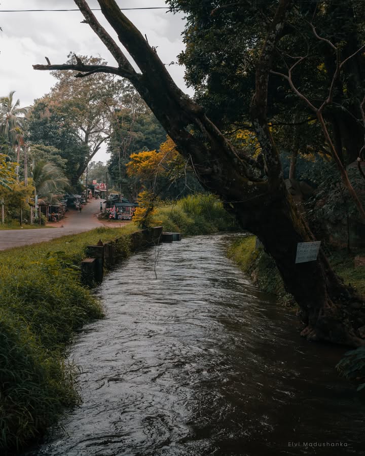 බුදුගලට යන පාරේ