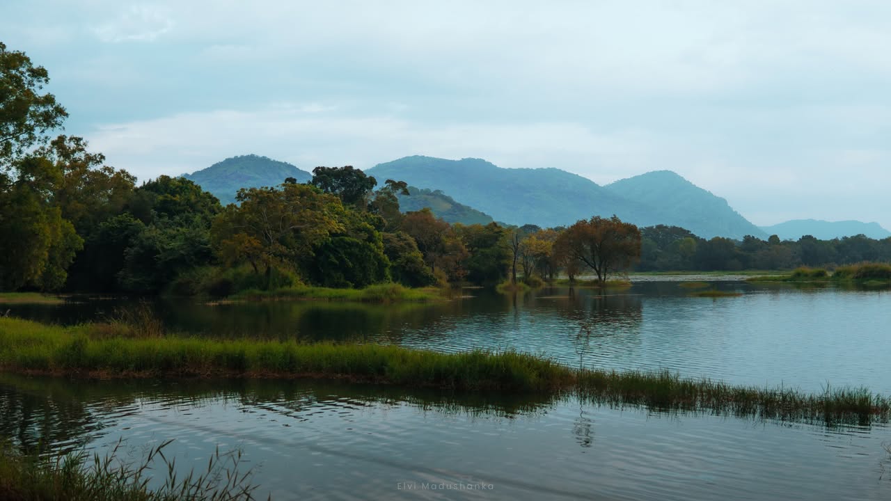 කන්ඩියපිට වැව