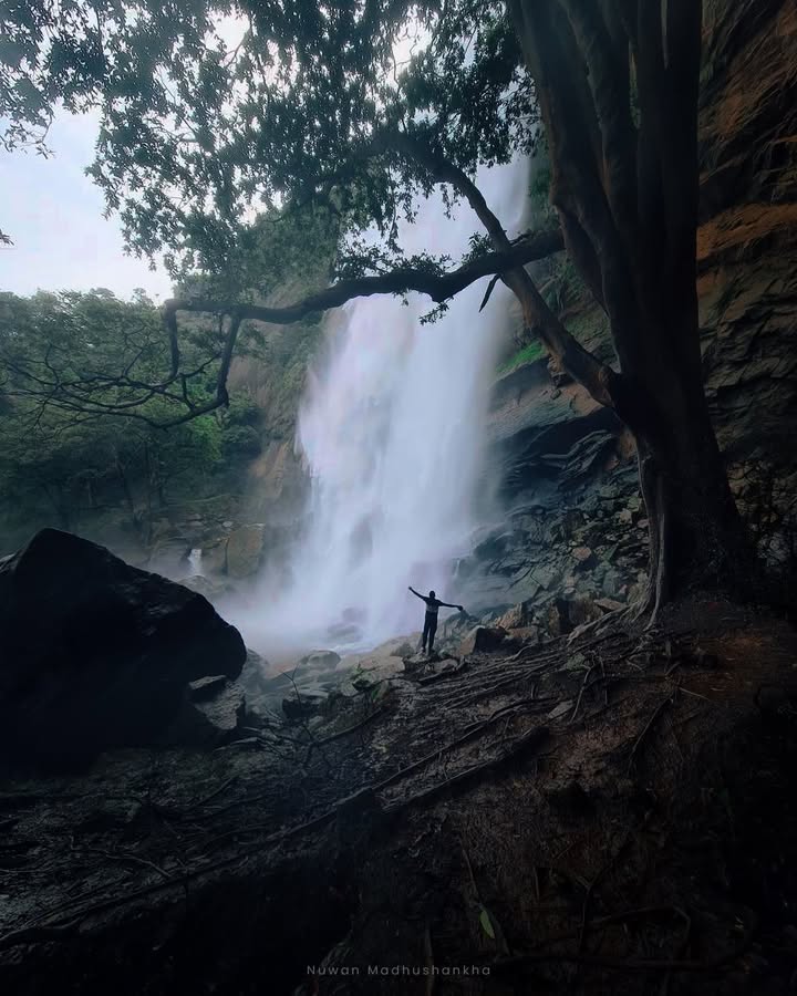 දියවිනි ඇල්ලේ උඩ කොටසේ