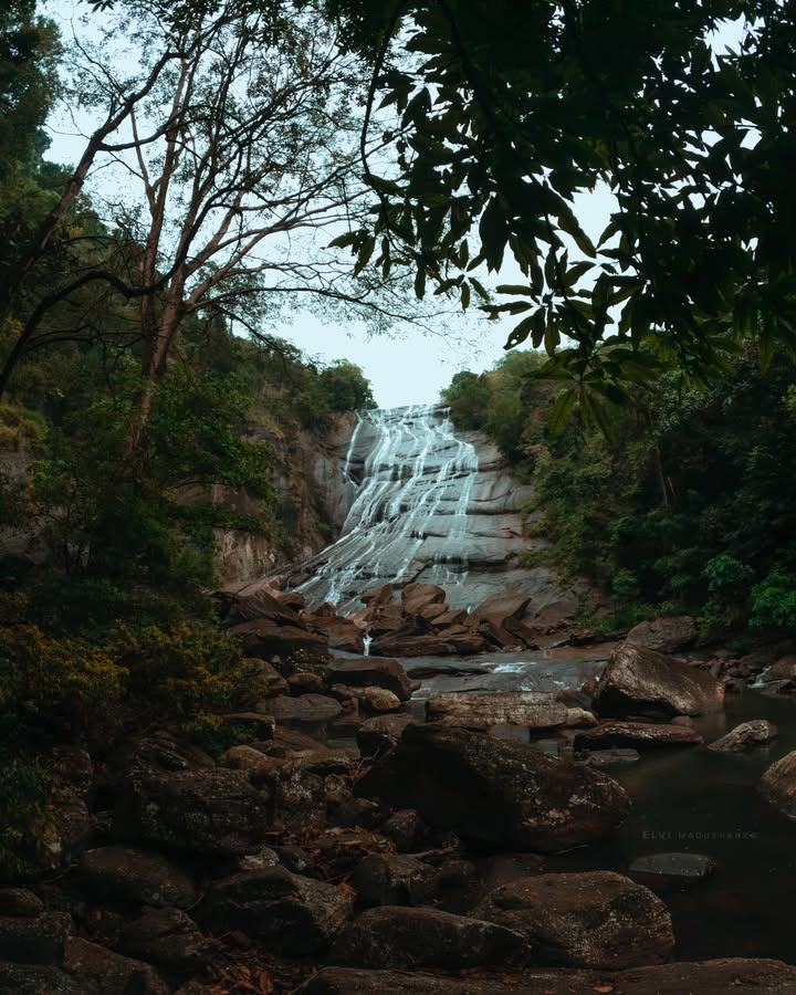 පැල්මඩුල්ලේ කිරිදි අල්ල.