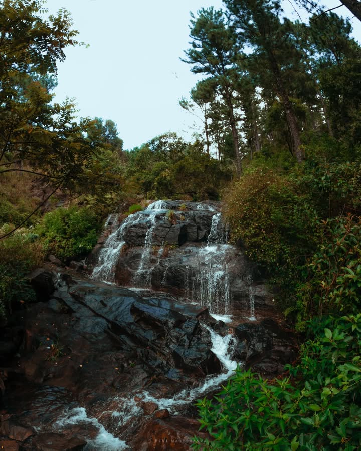 බෙන්ඩ් එකට යන පාර.