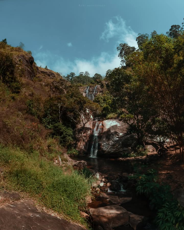 Nonpareil Estate දිය ඇල්ල.
