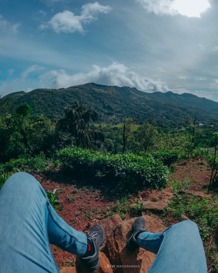 සුරියකන්ද