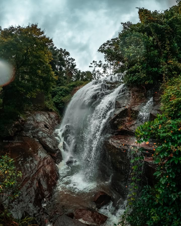 රුක්මල් ඇල්ල තව ටිකක් ලගට