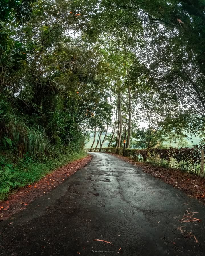යටියන්තොටට එද්දී තවත් වල පාලමක් හම්බෙනවා මේ ඊට පස්සේ පාර