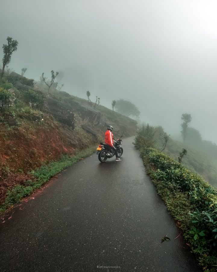 දොළොස්බාගේ තේ වතු <3�