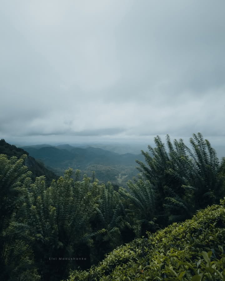 දෝතළු viewpoint එකට යන ගමන්, අපි viewpoint එකටම ගියේ නැ වැස්ස නිසා
