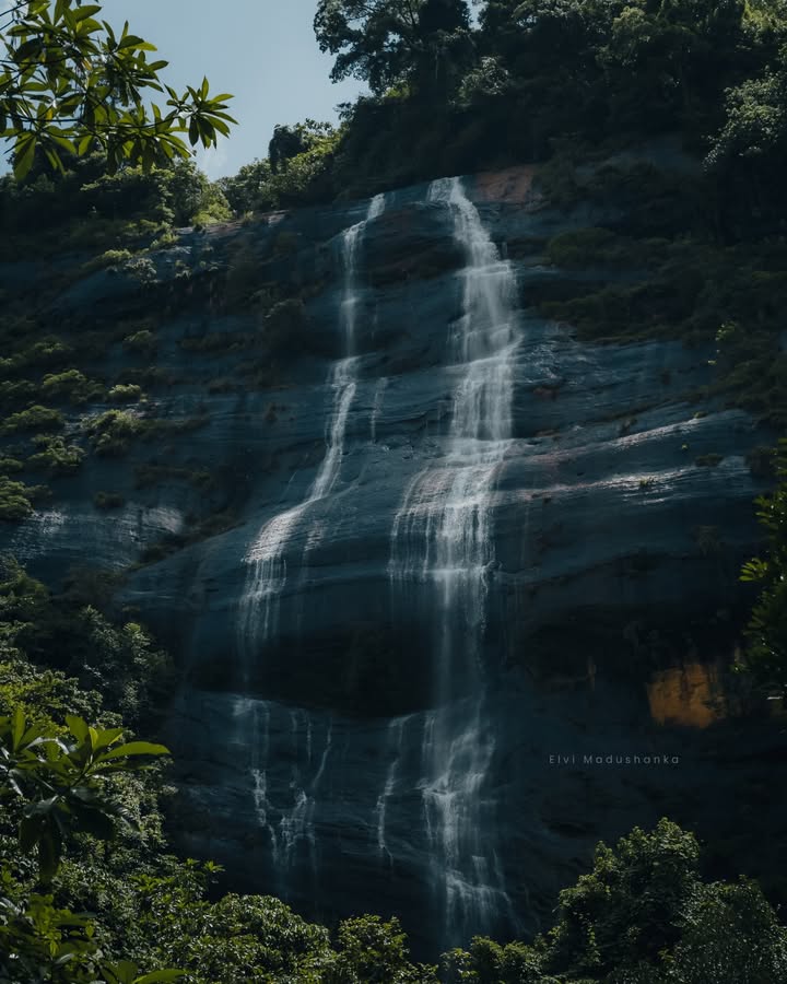 රිකිලි ඇල්ල