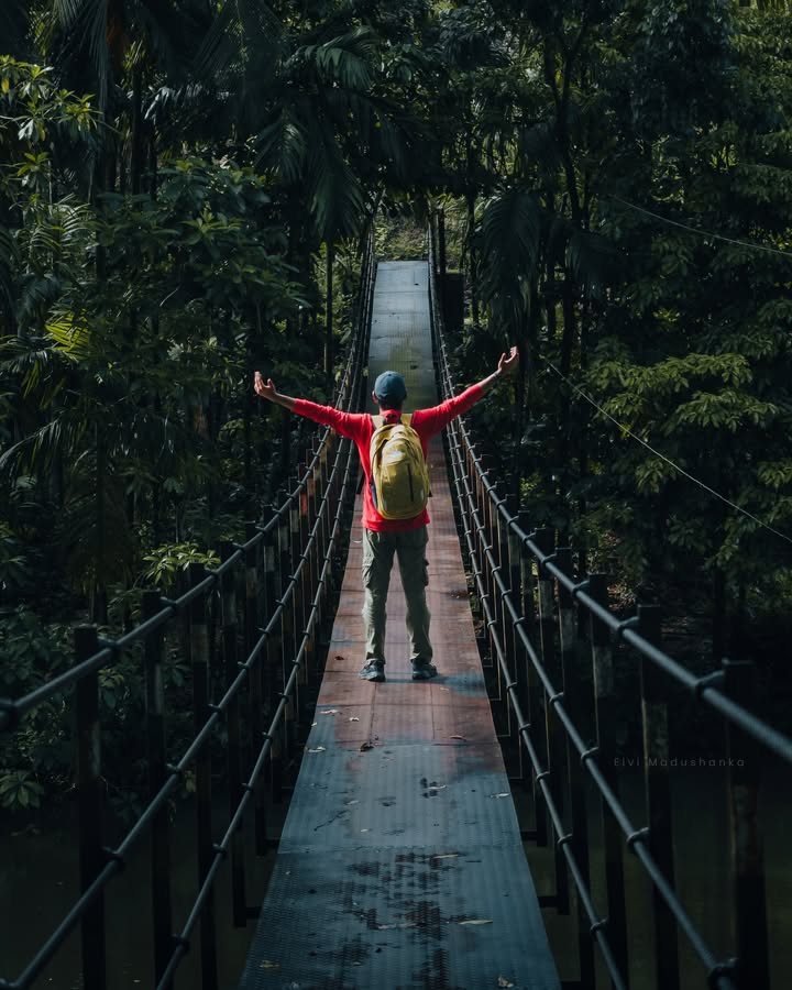 සොලබ ඇල්ලට යන එල්ලෙන පාලමේ ඉදන්