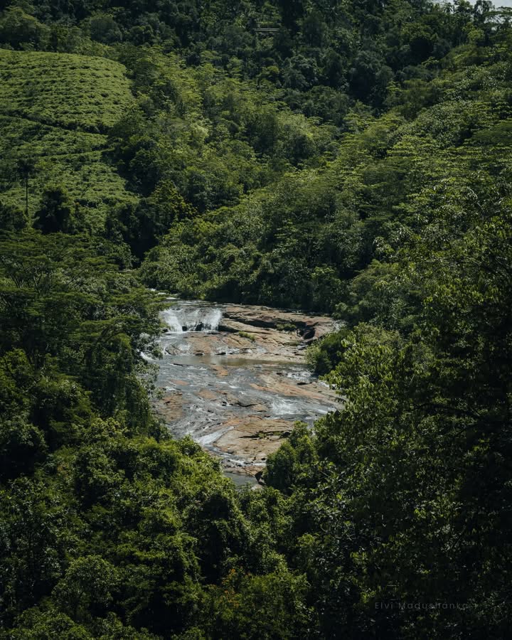 රක්කනාව දිය ඇල්ල නුරී යද්දී පේන විදිහ