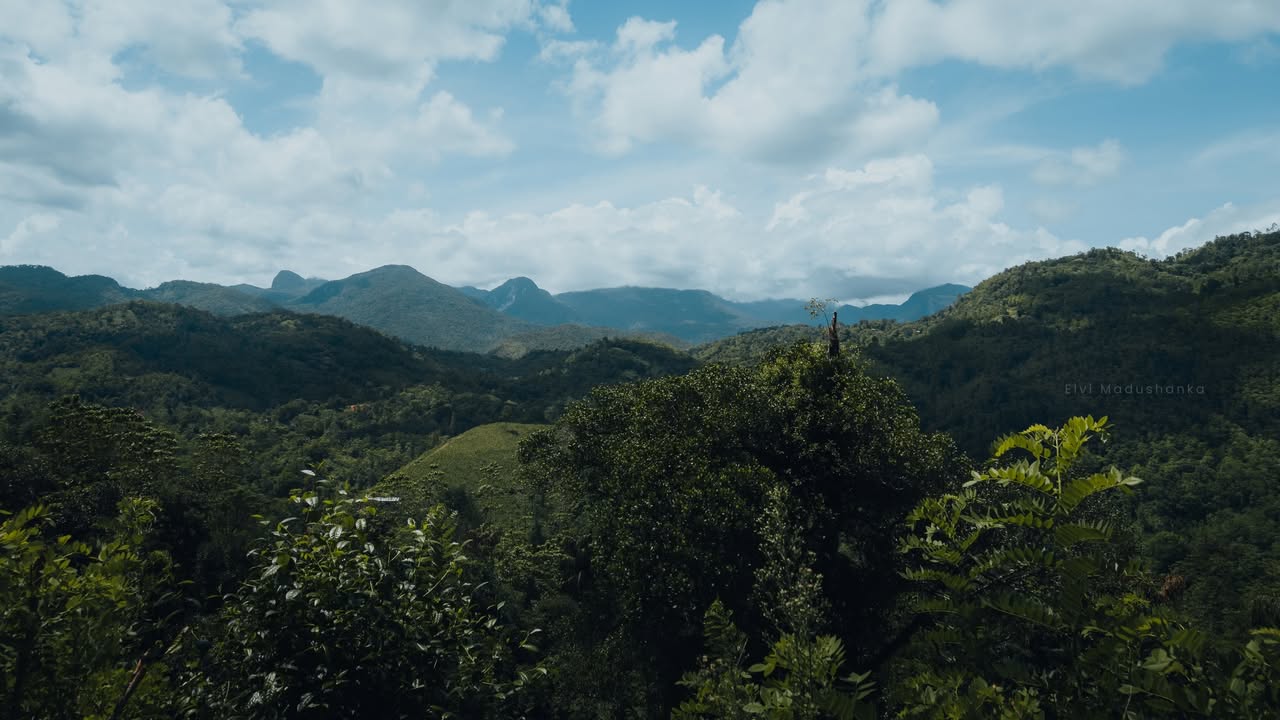 නුරී යද්දී හම්බෙන කදු ටික මෙතැනට මාලිබොඩ ඇලී 7 යද්දී හම්බෙන අන්තිම ඇල්ලත් පේනවා
