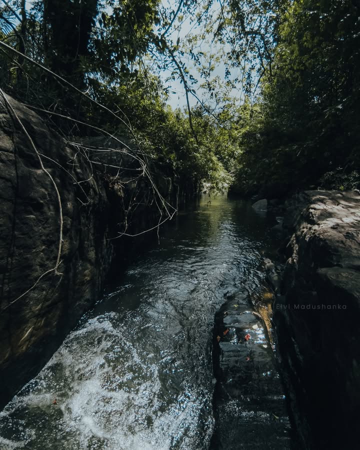 අපි නැවේ මෙතැනින්, natural pool එකක් කැලේ ඇතුලට වෙන්න තියෙන්නේ