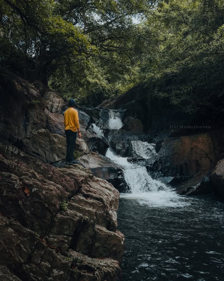බල්ලමුල ඇල්ල