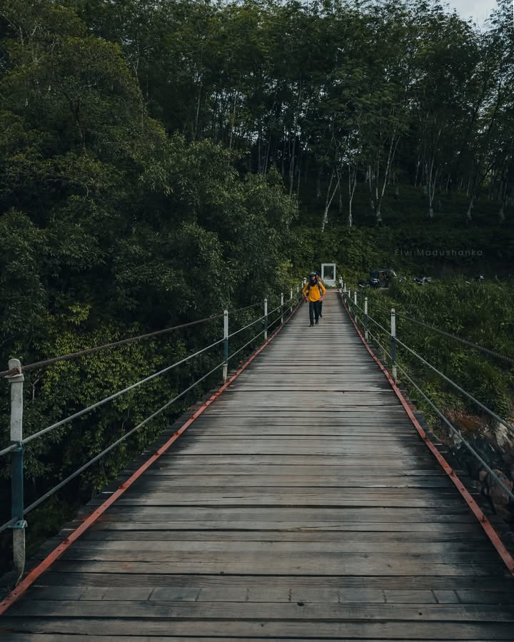 Reucastle Wire Bridge එක, ලංකාවේ වාහන යන උසම සංගිලි පාලම