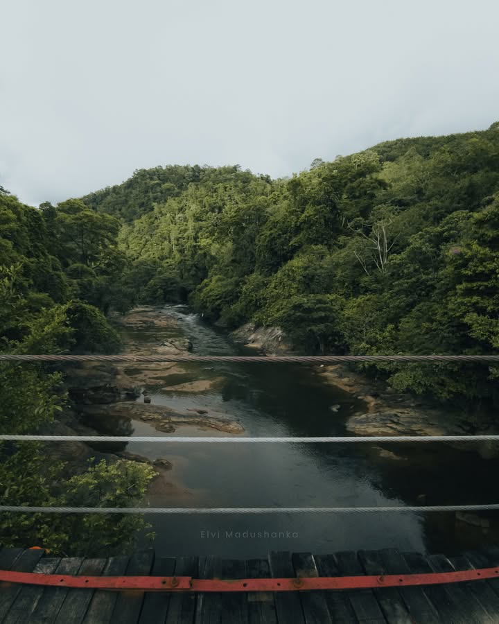 Reucastle Wire Bridge එක, ලංකාවේ වාහන යන උසම සංගිලි පාලම