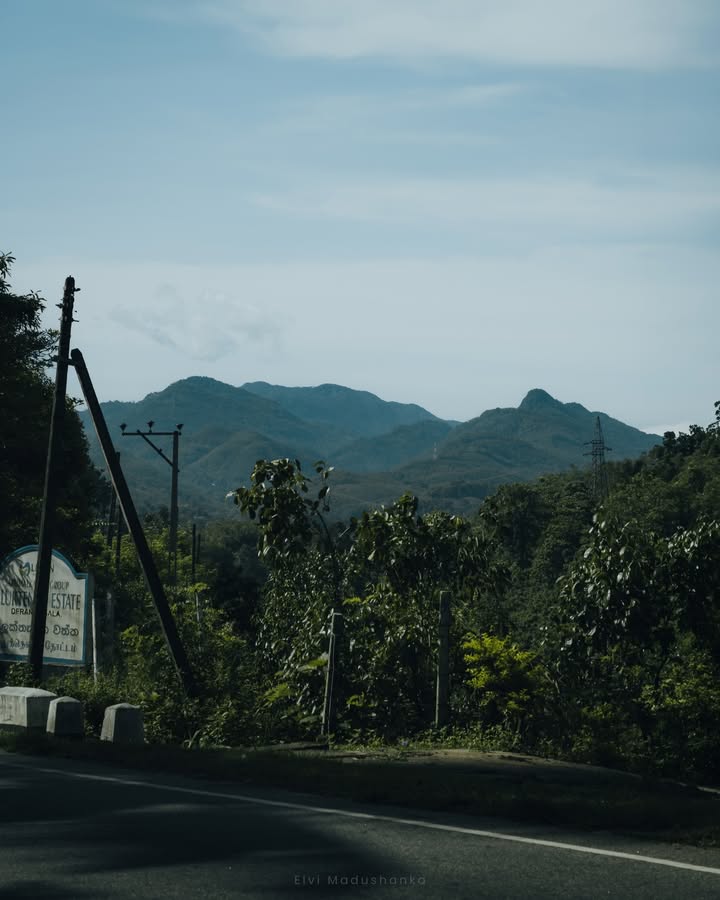 දැරනිගල පාරේ යද්දී හම්බෙන ලස්සන කදු