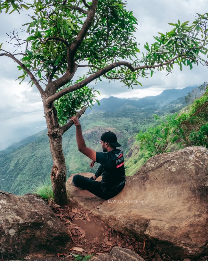 රොක් එකේ දෙවැනි විව් එකේ අන්තිම කොනේ තියෙන තනි ගහ, ( ට්රැවල් කරද්දී අත් දිගට ඇදගෙන ඇග වැහෙන්න ඇදගෙන යන්න නැත්තම් මගේ වගේ අත් කකුල් මුණ වෙන 😌❤️ පාටක් වෙලා ඇග තව පාටක් වෙයි :3 )