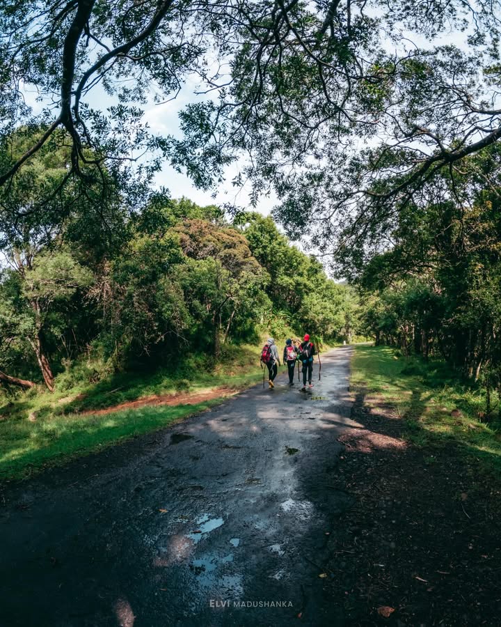 මෙතනින් පහලට ගියොත් තවත් දිව්ය ලෝකයක්