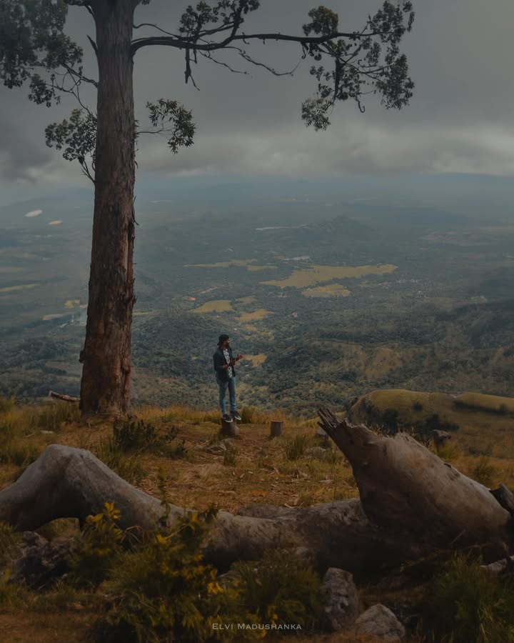 Pilkington View Point Poonagala