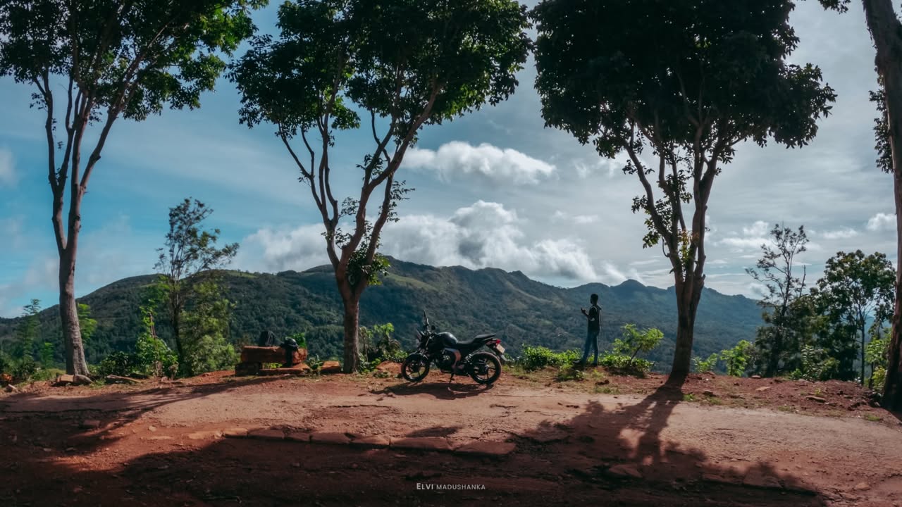 තනියම උදේක සුරියකන්ද උඩ 😍