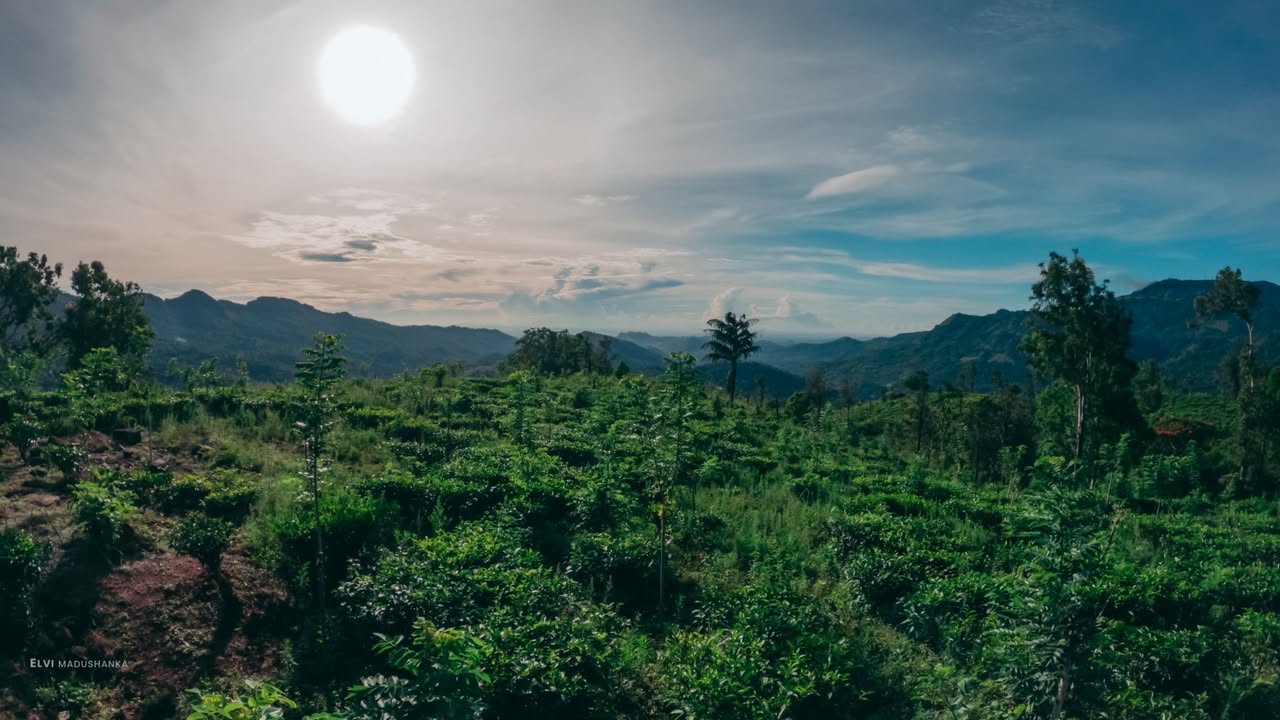 සුරියකන්ද උඩ