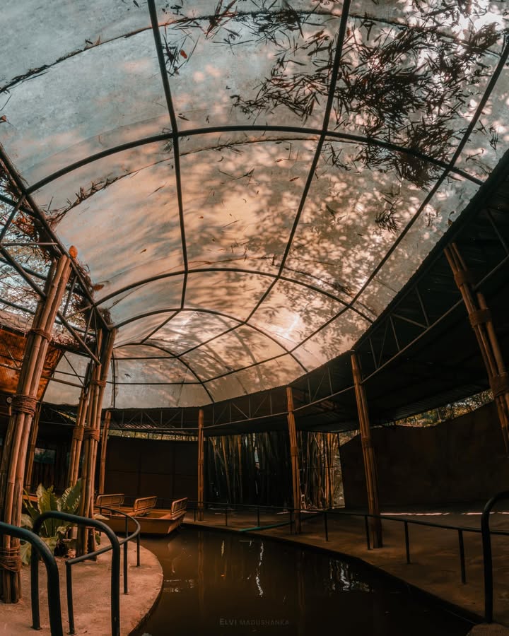 මේ දවස් වල කොහේවත් යන්න වෙලාවක් නැති නිසා, කෘතිමව හදපු කැලයකට ගියා. 🌿