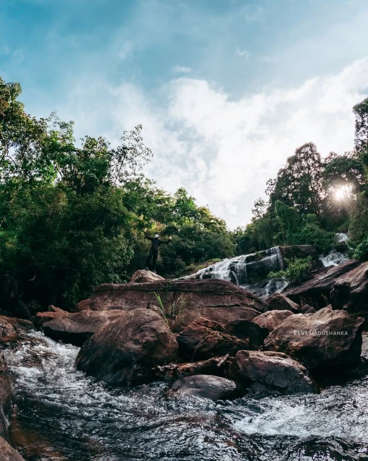 පහල කොටස