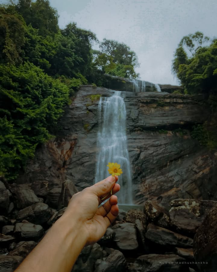 තාලිය වැටුන ඇල්ල