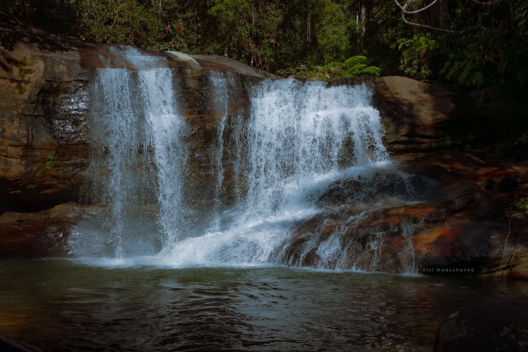 නාරම්පනාව ඇල්ල