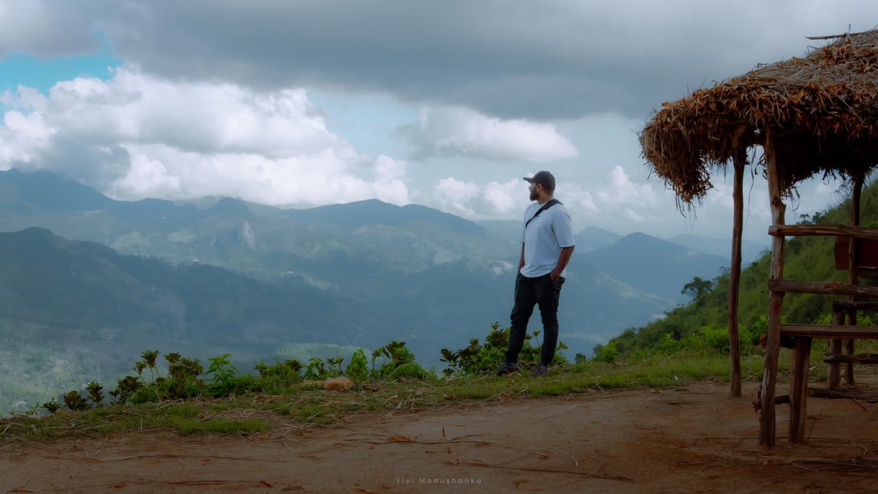 කාලෙකින් මගේ පිතුරයක් ගත්තා :D