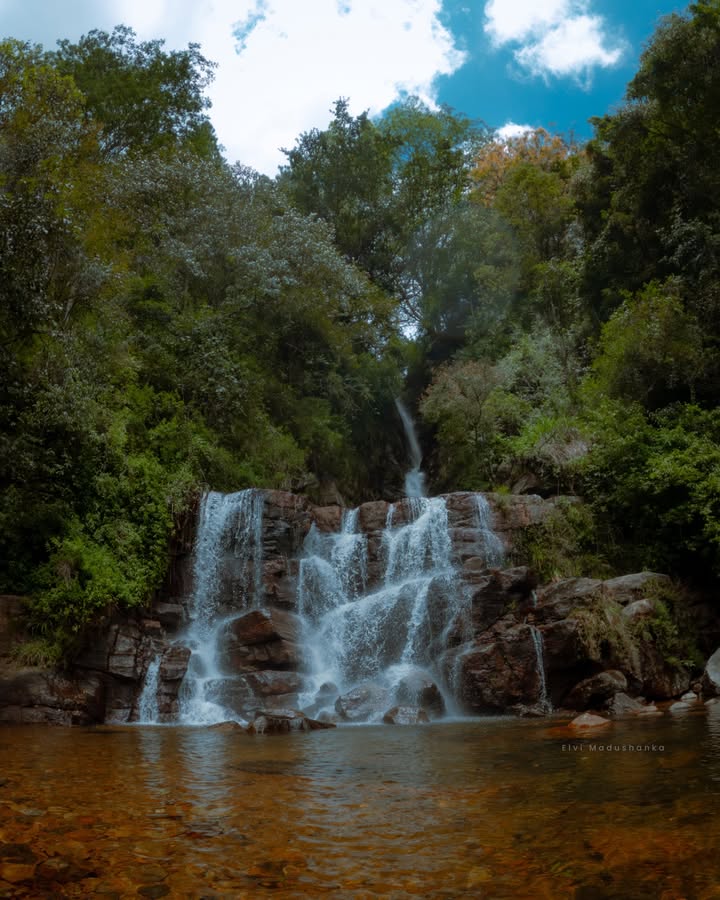 සාරි ඇල්ල